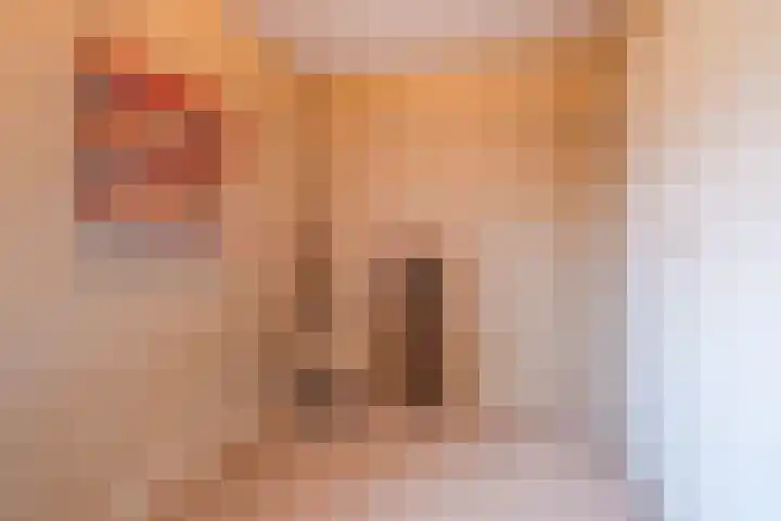 Deken Kempslaan 3 Heeze thumbnail 17