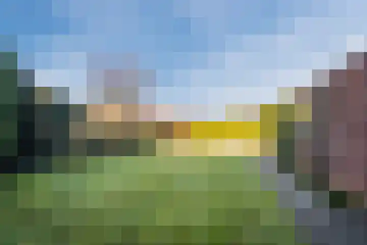 Deken Kempslaan 3 Heeze thumbnail 26