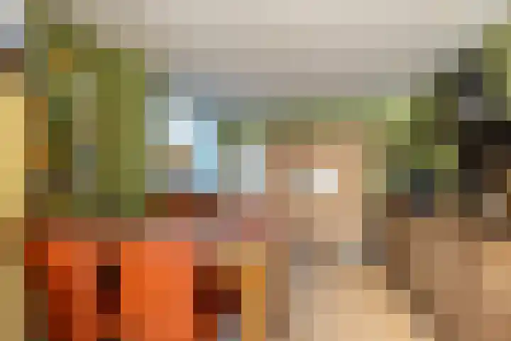 Deken Keulenplein 4 Schinnen thumbnail 11