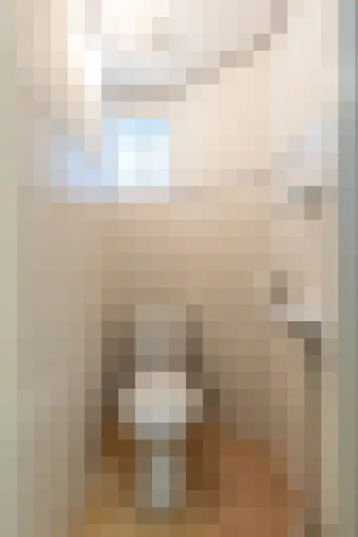 Deken Keulenplein 4 Schinnen thumbnail 15