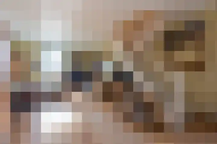 Deken Keulenplein 4 Schinnen thumbnail 18