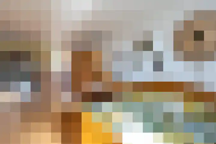 Deken Keulenplein 4 Schinnen thumbnail 20