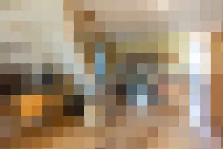 Deken Keulenplein 4 Schinnen thumbnail 21