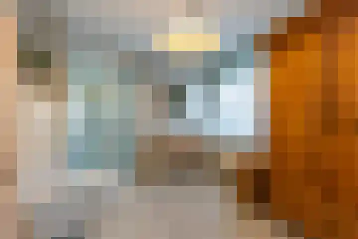 Deken Keulenplein 4 Schinnen thumbnail 22
