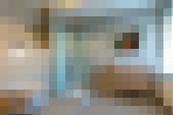 Deken Keulenplein 4 Schinnen thumbnail 23