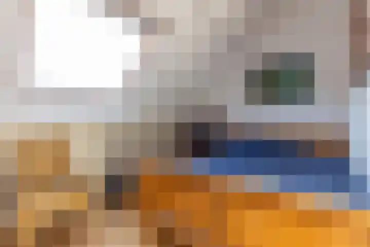 Deken Keulenplein 4 Schinnen thumbnail 24