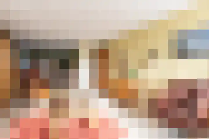 Deken Keulenplein 4 Schinnen thumbnail 6