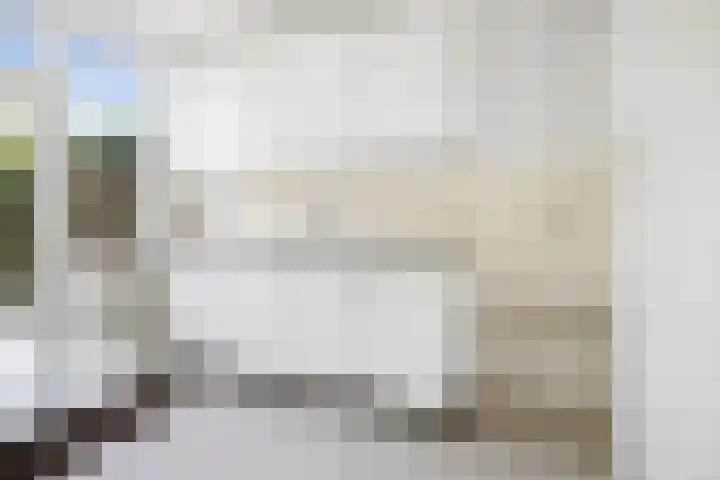 Deken Koopmanslaan 33 Etten-Leur thumbnail 10