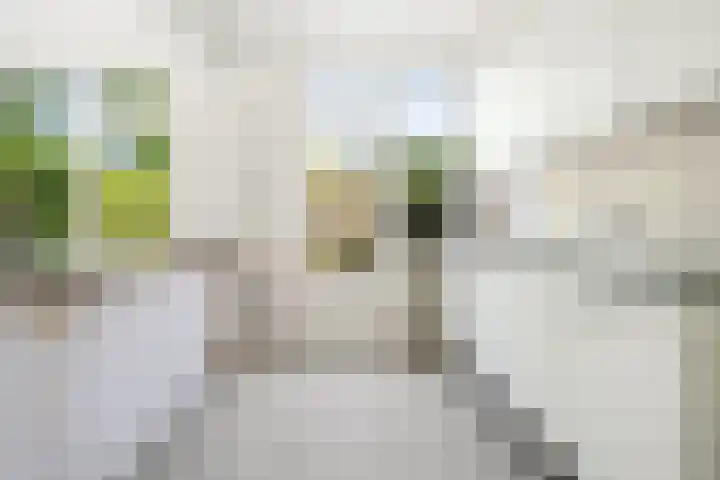 Deken Koopmanslaan 33 Etten-Leur thumbnail 11