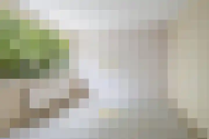 Deken Koopmanslaan 33 Etten-Leur thumbnail 17