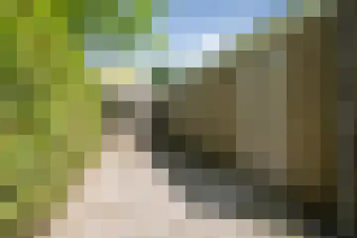 Deken Koopmanslaan 33 Etten-Leur thumbnail 27