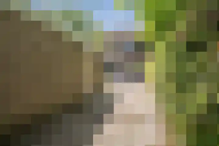 Deken Koopmanslaan 33 Etten-Leur thumbnail 28