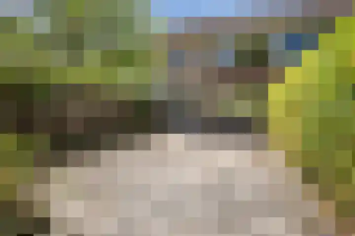 Deken Koopmanslaan 33 Etten-Leur thumbnail 29
