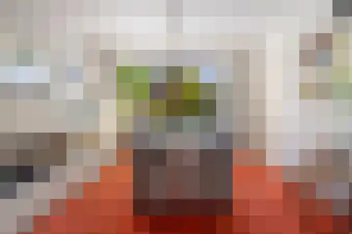Deken Koopmanslaan 65 Etten-Leur thumbnail 10
