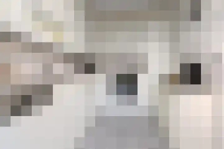 Deken Koopmanslaan 65 Etten-Leur thumbnail 13