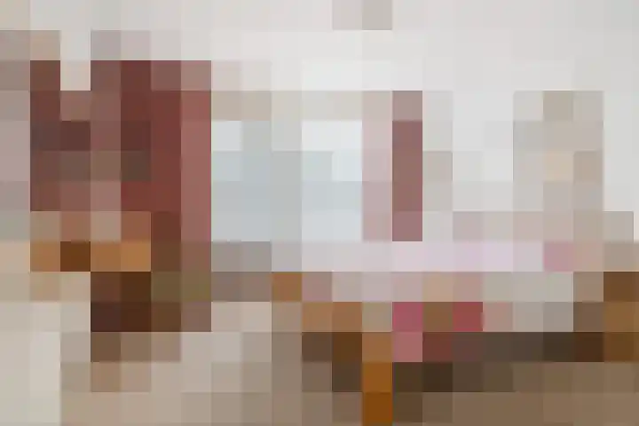 Deken Koopmanslaan 65 Etten-Leur thumbnail 16