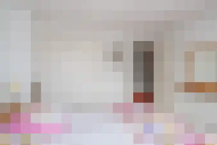 Deken Koopmanslaan 65 Etten-Leur thumbnail 17