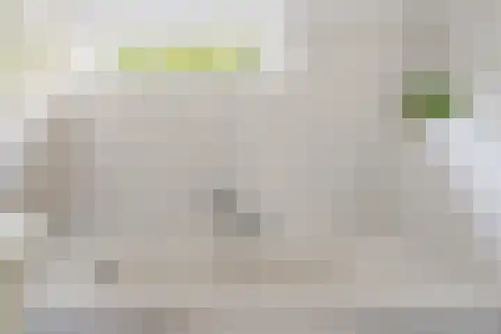 Deken Koopmanslaan 65 Etten-Leur thumbnail 23