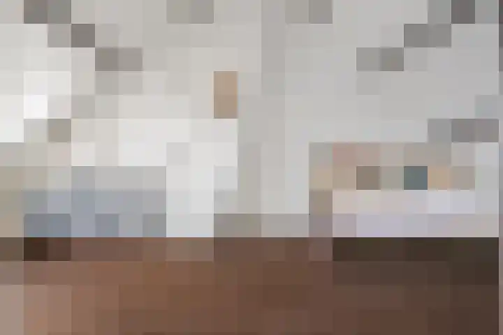 Deken Koopmanslaan 65 Etten-Leur thumbnail 25