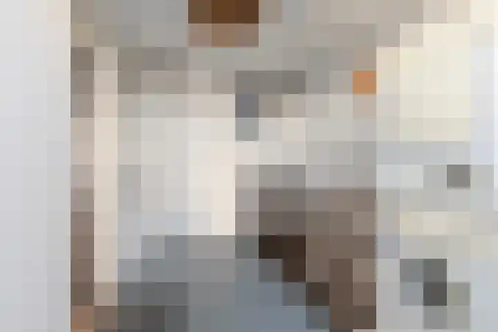 Deken Koopmanslaan 65 Etten-Leur thumbnail 29