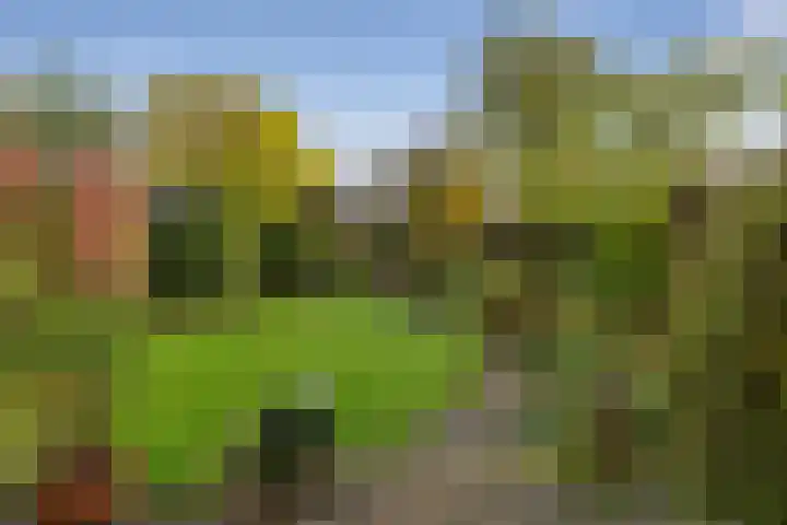 Deken Koopmanslaan 65 Etten-Leur foto 3