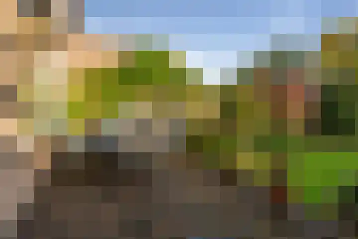 Deken Koopmanslaan 65 Etten-Leur thumbnail 30