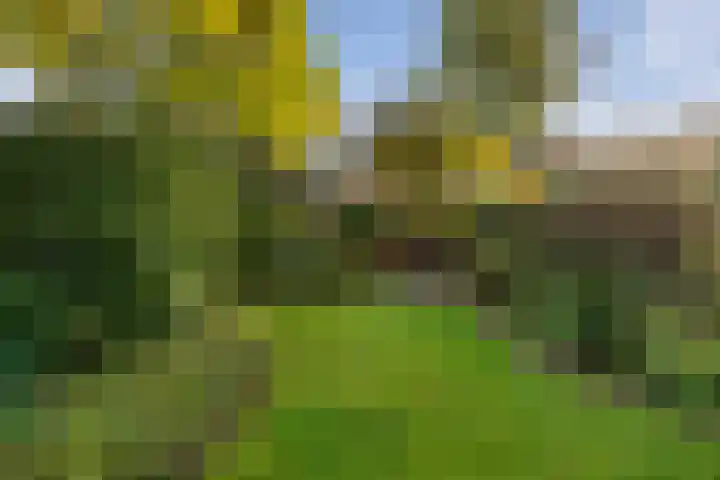 Deken Koopmanslaan 65 Etten-Leur thumbnail 31