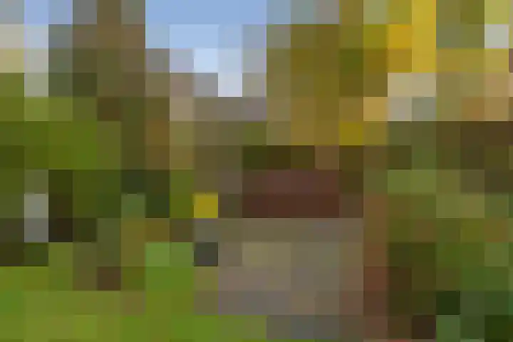 Deken Koopmanslaan 65 Etten-Leur thumbnail 32