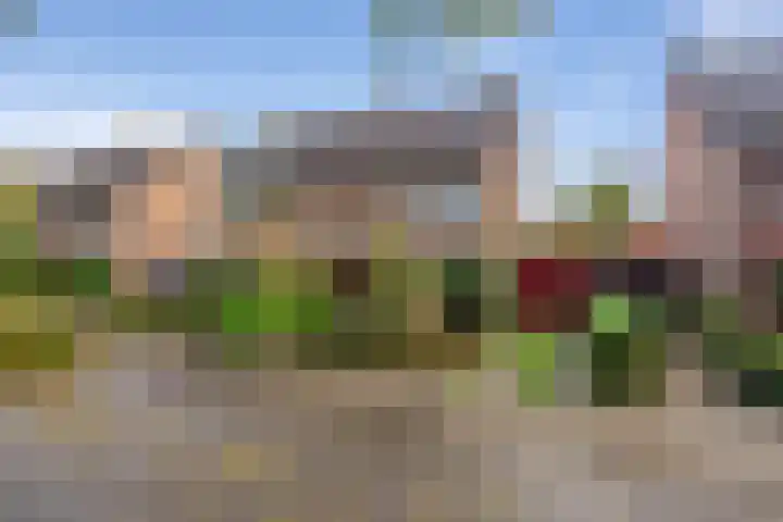 Deken Koopmanslaan 65 Etten-Leur thumbnail 34