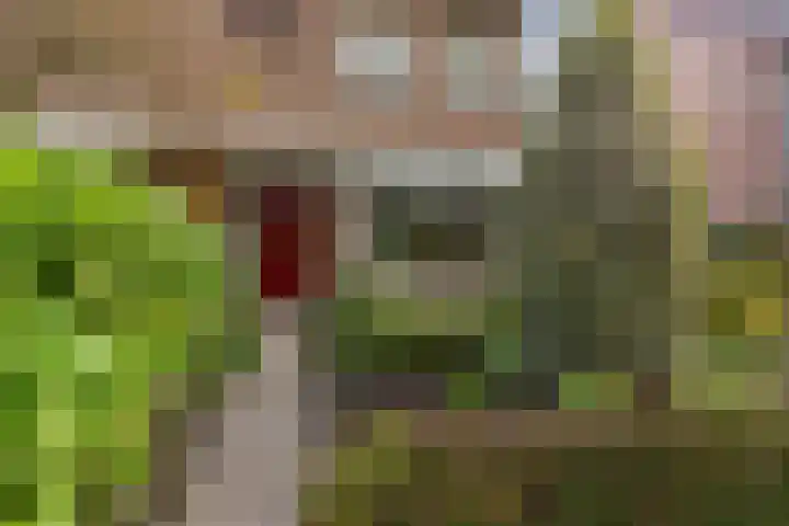 Deken Koopmanslaan 65 Etten-Leur thumbnail 4