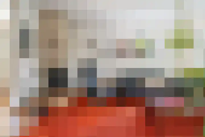 Deken Koopmanslaan 65 Etten-Leur thumbnail 5