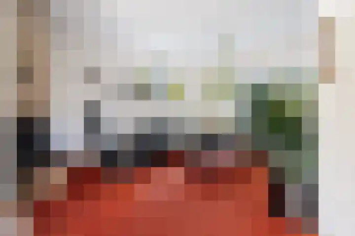 Deken Koopmanslaan 65 Etten-Leur thumbnail 6