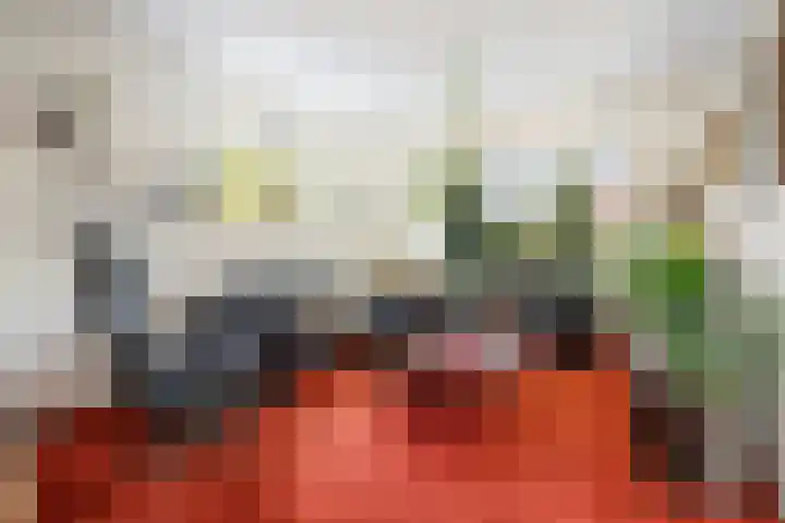 Deken Koopmanslaan 65 Etten-Leur thumbnail 7