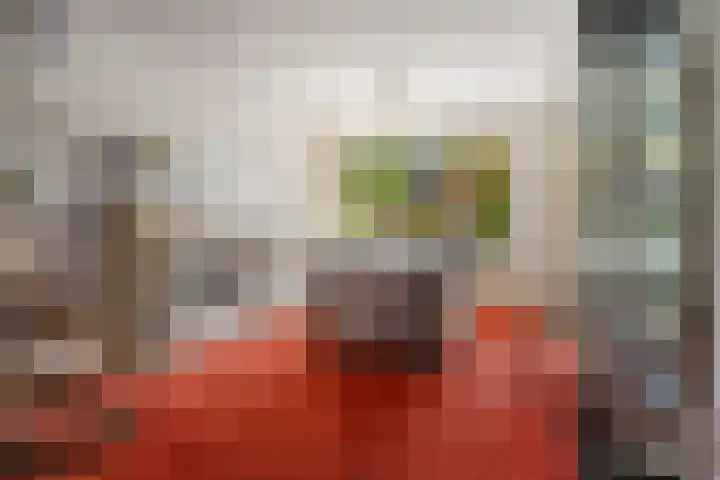 Deken Koopmanslaan 65 Etten-Leur thumbnail 9