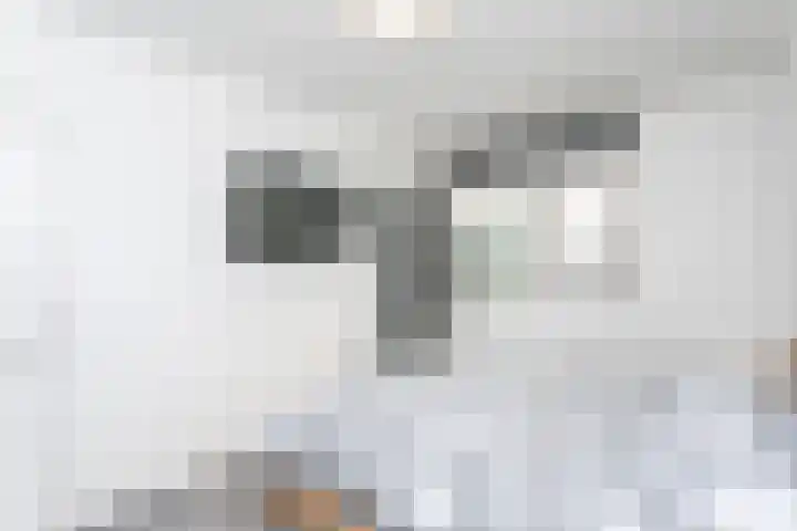 Deken Lendersstraat 21 Hoensbroek thumbnail 23
