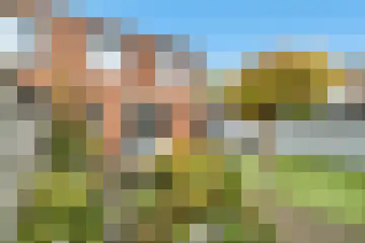 Deken Lendersstraat 31 Hoensbroek thumbnail 19