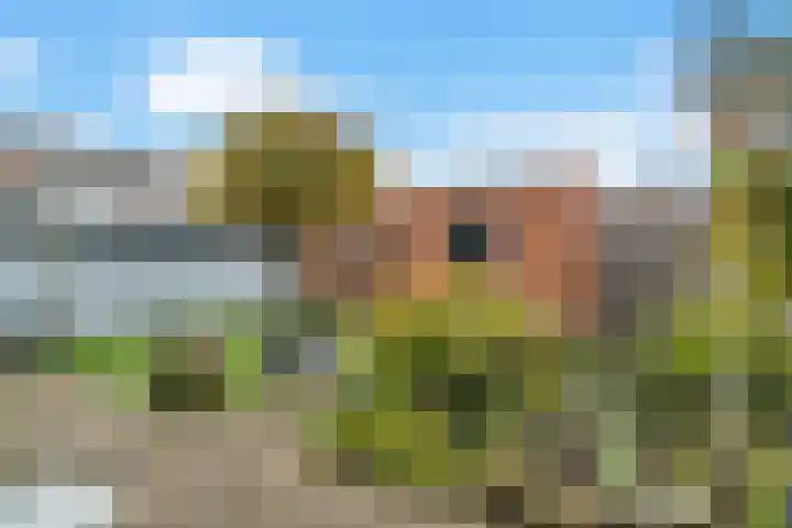 Deken Lendersstraat 31 Hoensbroek thumbnail 20