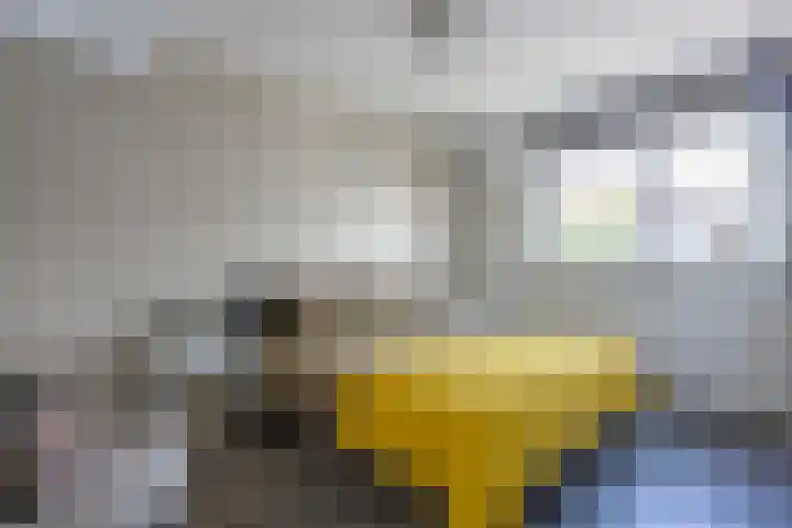 Deken Lendersstraat 8 Hoensbroek thumbnail 10