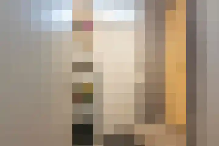 Deken Lendersstraat 8 Hoensbroek thumbnail 13