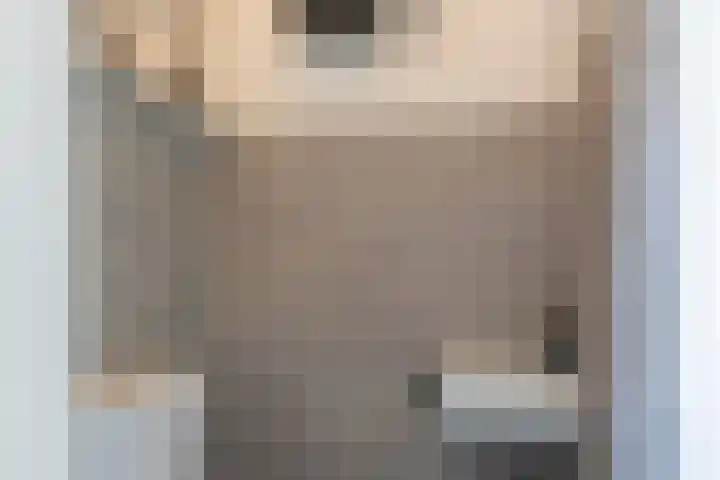 Deken Lendersstraat 8 Hoensbroek thumbnail 6