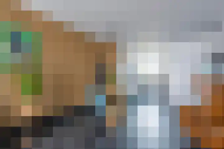 Deken Lendersstraat 8 Hoensbroek thumbnail 7