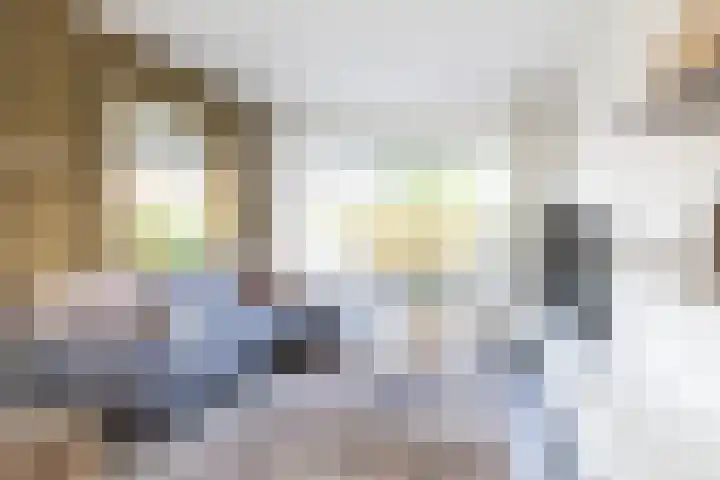 Deken Maeslaan 3 Prinsenbeek thumbnail 10