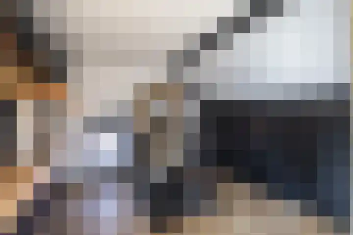 Deken Maeslaan 3 Prinsenbeek thumbnail 100
