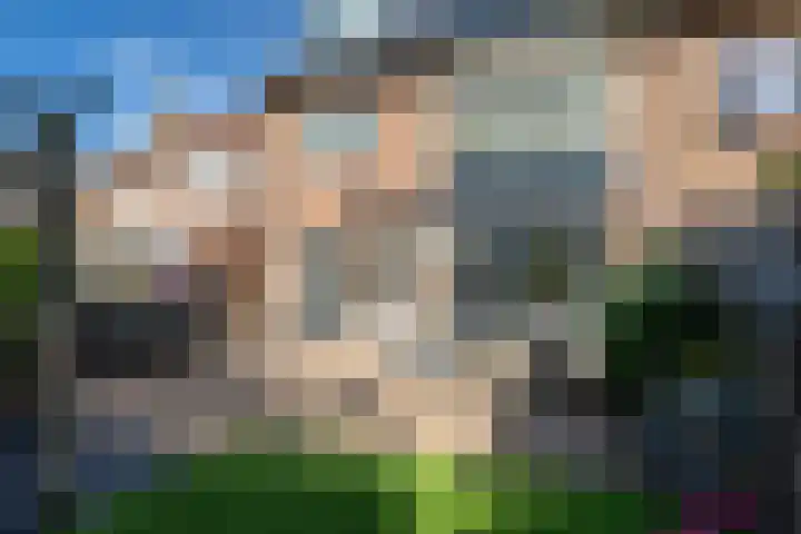 Deken Maeslaan 3 Prinsenbeek thumbnail 104