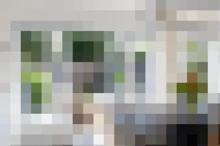 Deken Maeslaan 3 Prinsenbeek thumbnail 11