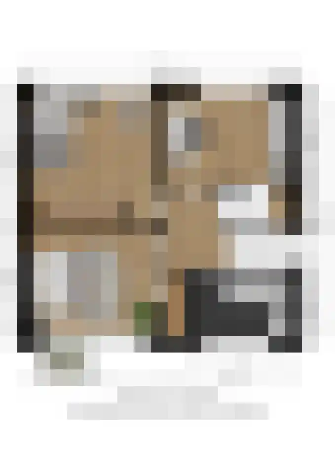 Deken Maeslaan 3 Prinsenbeek thumbnail 112