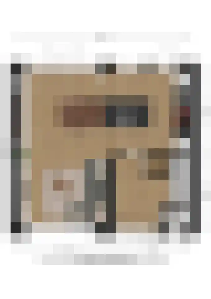 Deken Maeslaan 3 Prinsenbeek thumbnail 113