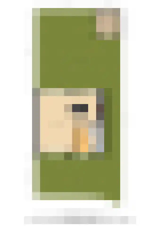 Deken Maeslaan 3 Prinsenbeek thumbnail 115