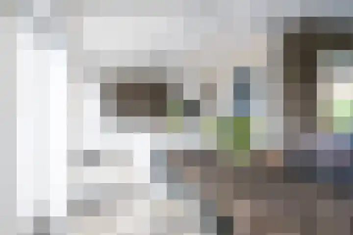 Deken Maeslaan 3 Prinsenbeek thumbnail 13