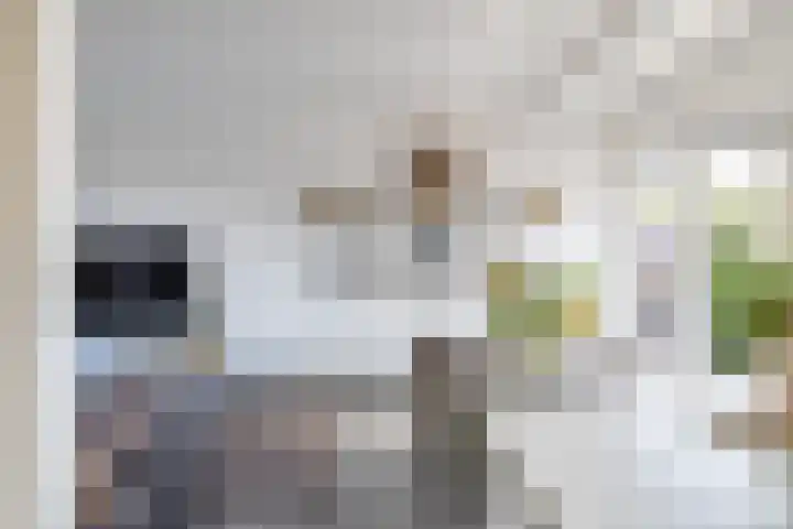 Deken Maeslaan 3 Prinsenbeek thumbnail 14